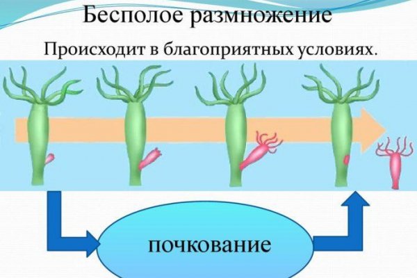 Кракен at