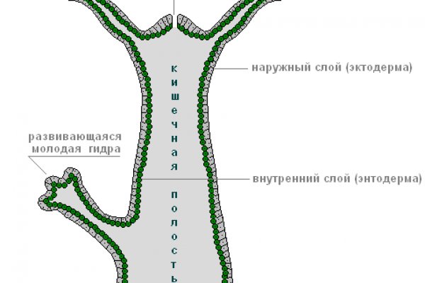 Кракен сайт как зайти